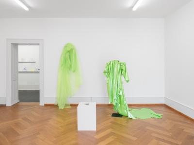 Das Werk vom Künstler Gregory Tara Hari ausgestellt im Kunsthaus Biel
