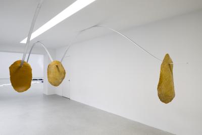 Gil Pellaton, «Hennissement», Ausstellungsansicht, 2022KBCB, Foto: Guadalupe Ruiz