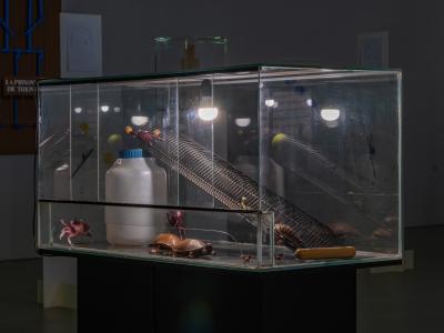Jos de Gruyter & Harald Thys, «Impressions de Biel», Ausstellungsansicht, 2024, KBCB, Courtesy of the artists; Foto: Thomas Annaheim Lambert