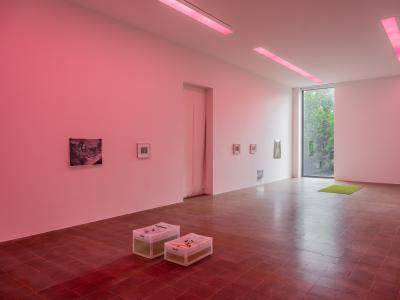 Loretta Fahrenholz, «Champagner Galopp», Ausstellungsansicht, 2024KBCB, Foto: Lea Kunz