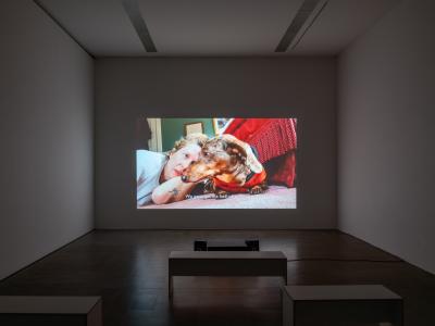 Loretta Fahrenholz, «Champagner Galopp», Ausstellungsansicht, 2024KBCB, Foto: Lea Kunz