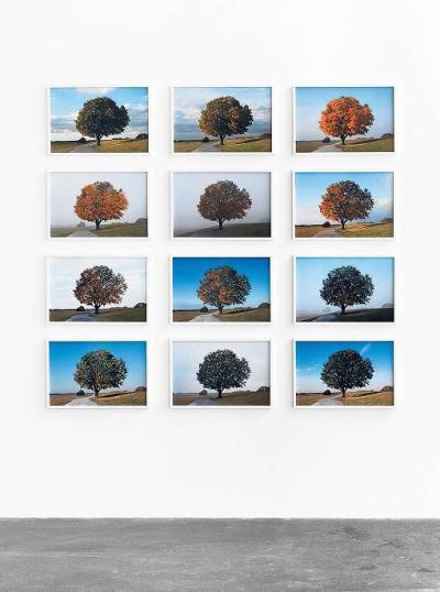 Michael Sailstorfer, Antiherbst, 2013